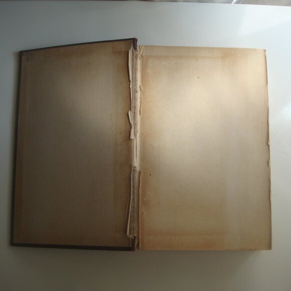 The Principles and Practices of Beauty Culture Official Textbook Wilfred Academy - Picture 13 of 16